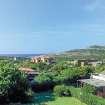 Falcone Stintino